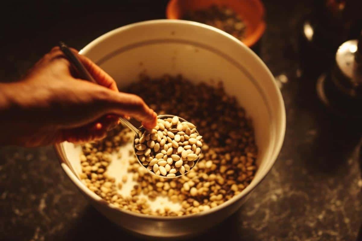 Quelle quantité de graines par jour pour maigrir ?